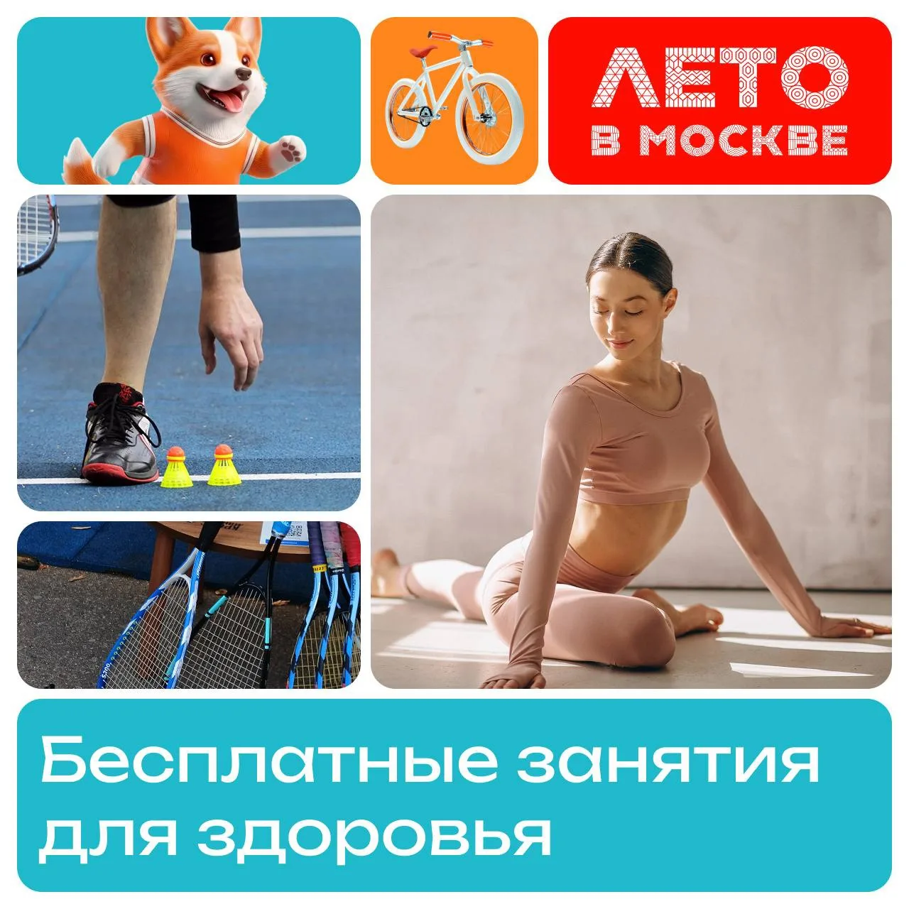 Зовем на бесплатные занятия для здоровья. Вместе с «Малым бизнесом Москвы» сделали подб...
