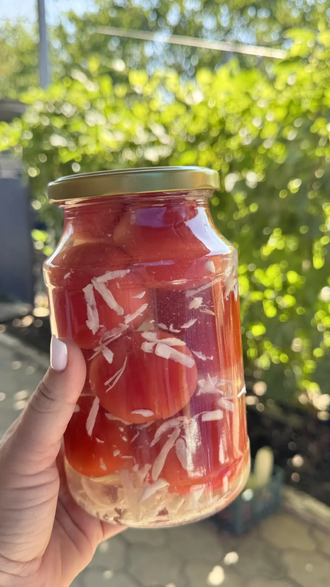Помидоры под снегом🍅🍅🍅