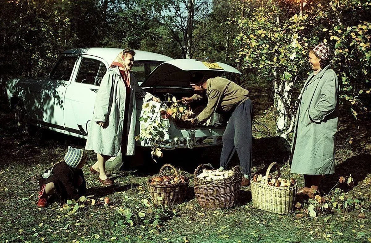 Удачный выезд по грибы, 1967