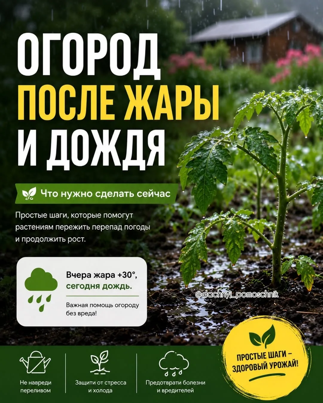 🌧️ Вчера +30, сегодня дождь…
И многие в панике бегут «спасать» огород 😅
Но именно после таких пере