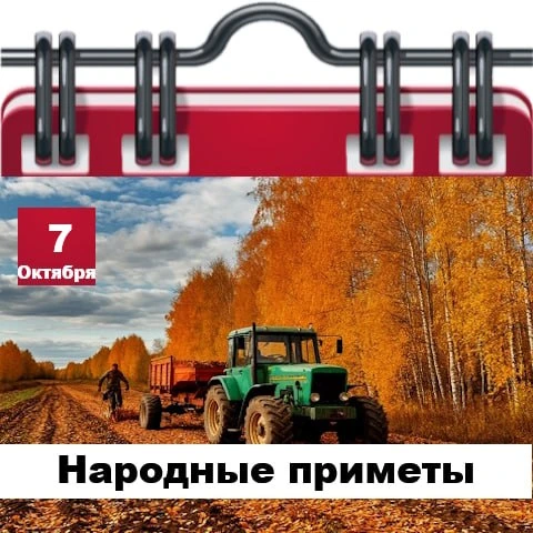 Народные приметы 7 октября