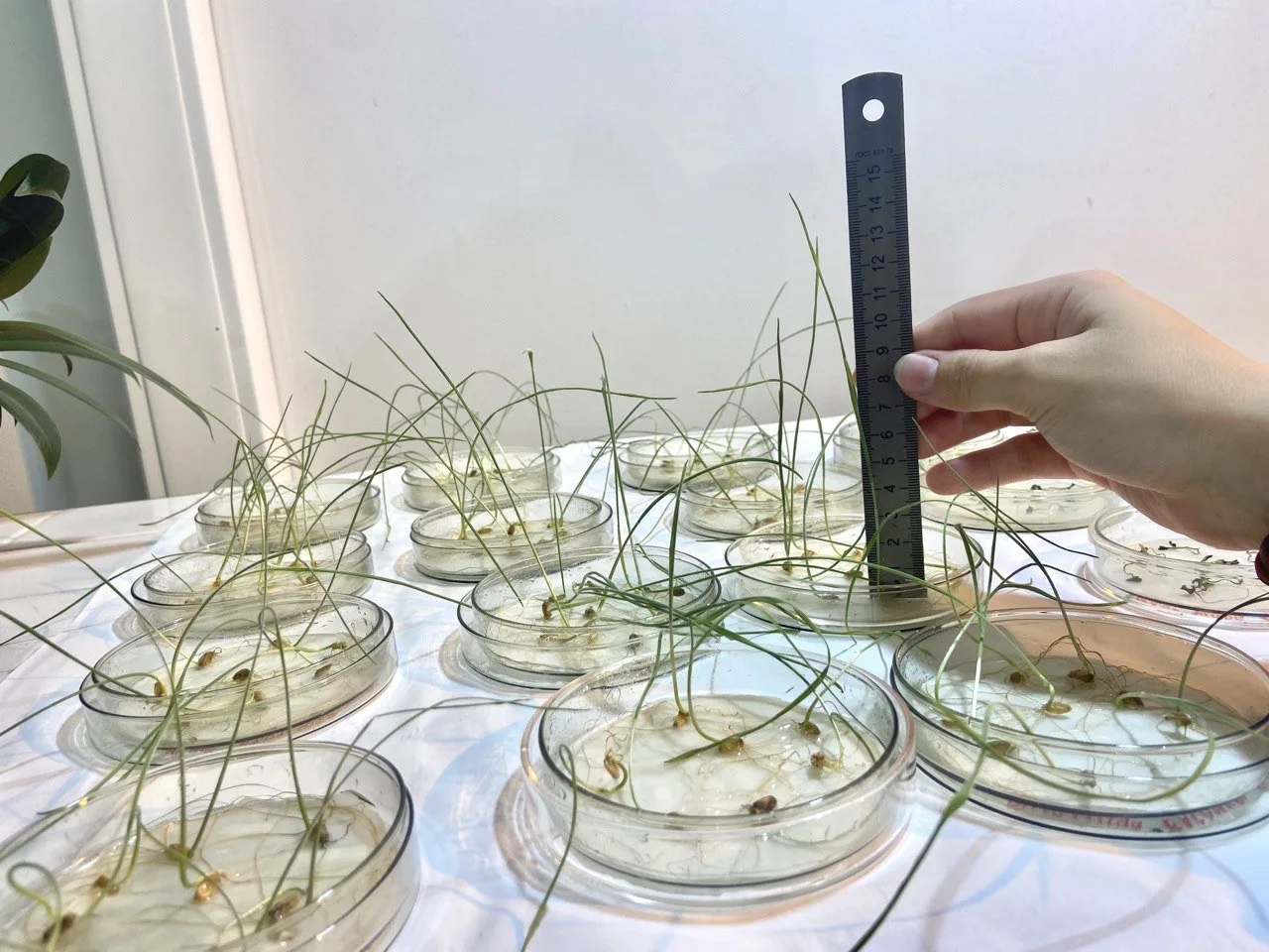 🌿 Сегодня — День экологического образования!