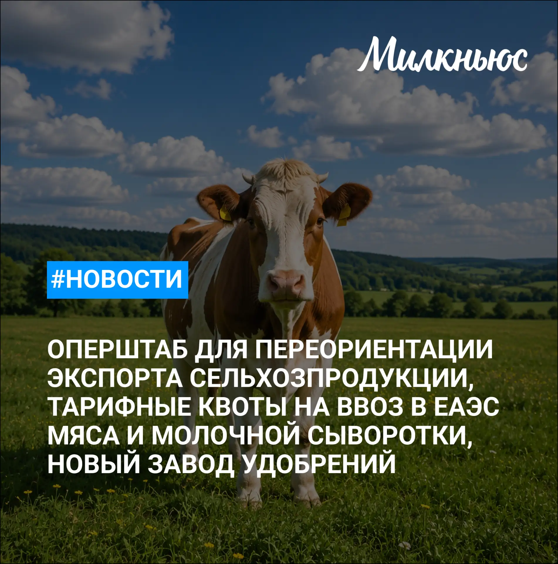🐮 В Минсельхозе создали оперштаб для переориентации экспорта сельхозпродукции