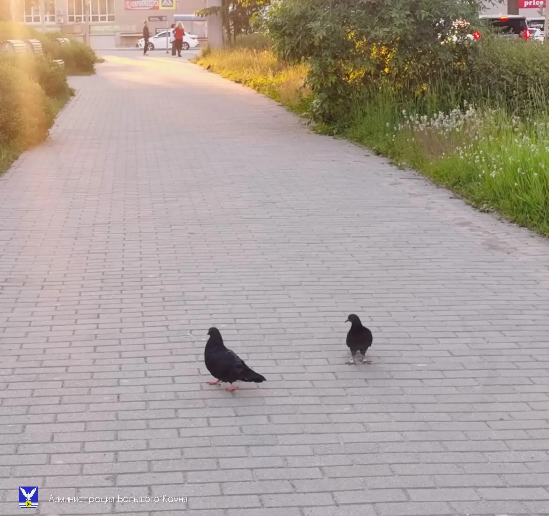 ❤Доброе утро, Большой Камень!

«Вяжут кружево над лесом
В жёлтой пене облака.
В тихой дрёме под наве