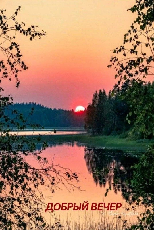Не теряй нас, жми подписаться👇
ОТКРЫТКИ ДЛЯ ВСЕХ