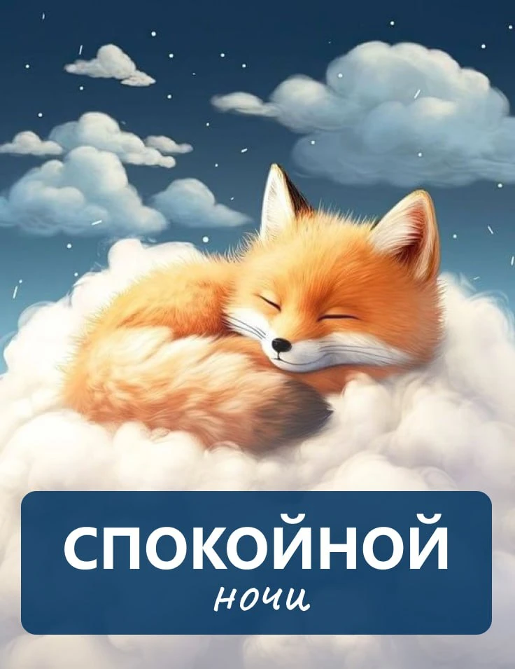 Спокойной ночи! 🌙

Открытки в MAX 👉️Подписаться