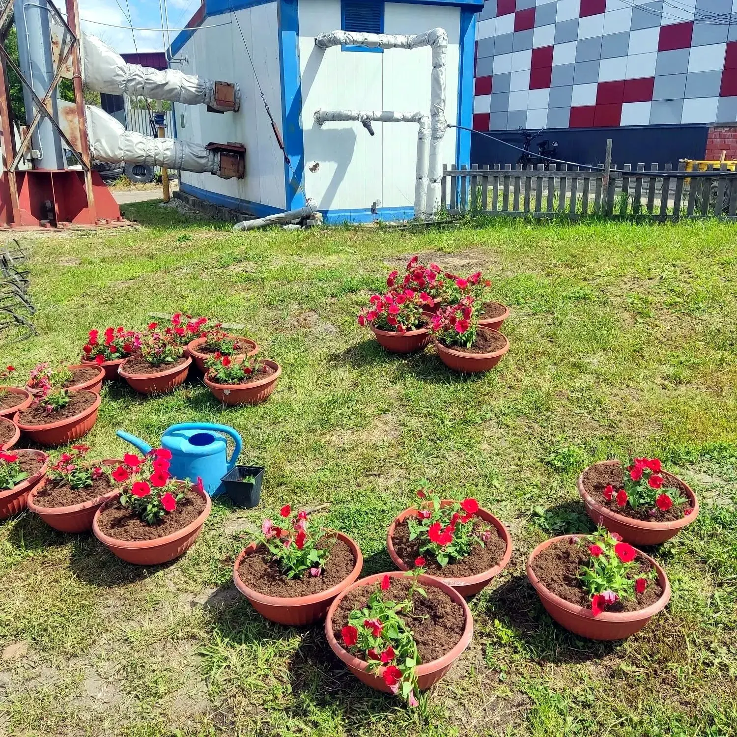 🌺🌺🌺Добавляем красок в будни!
Сегодня специалисты администрации высадили петунии в кашпо для наших