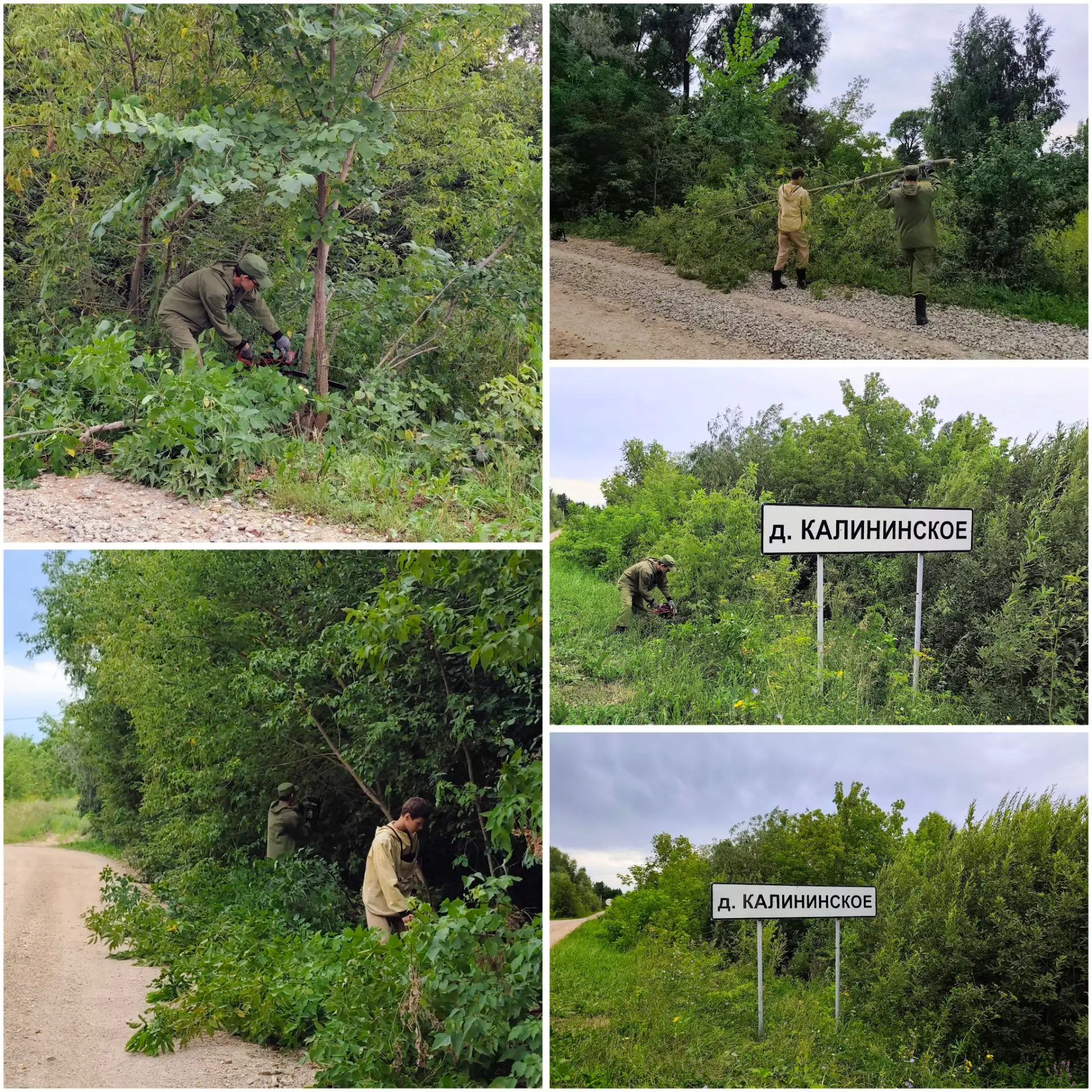 🌳Сегодня продолжили работу по спилу сорной растительности "клёна" в доль обочин дороги...
