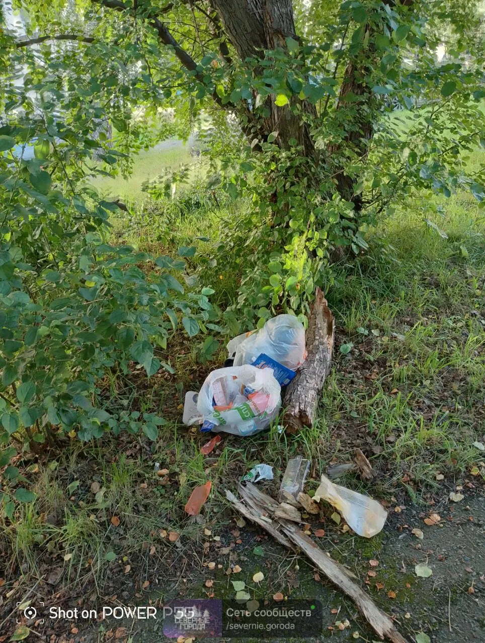 Сиротина 8,26.06.26 появились 2 пакета с мусором под деревом, там же неделю стоит горшо...