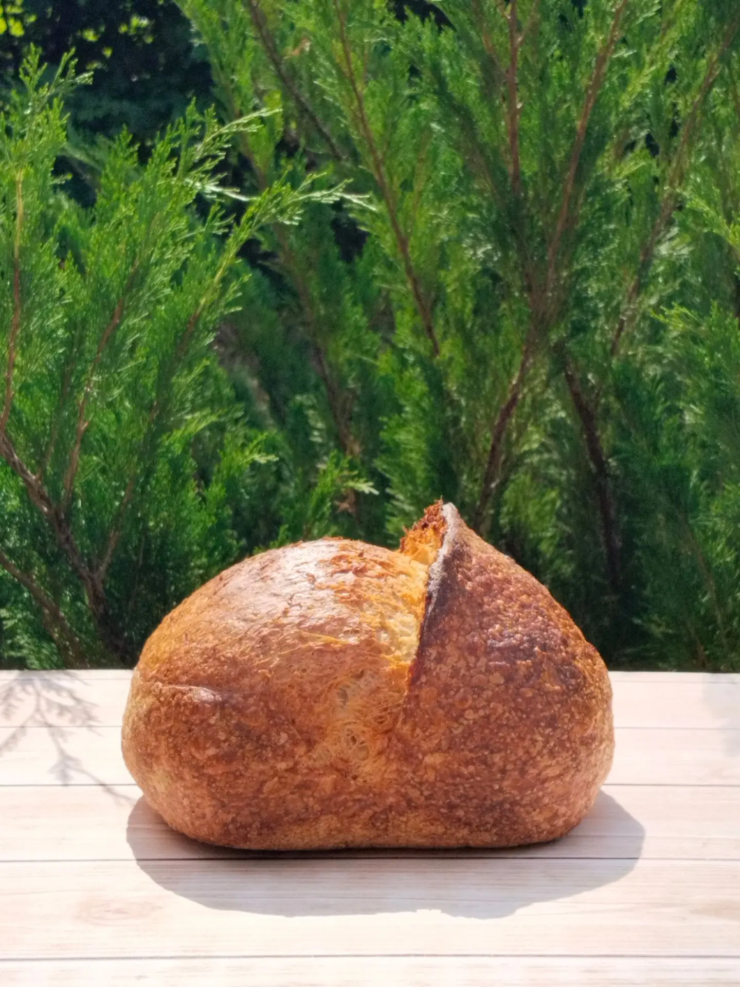 О вкусе хлеба на закваске