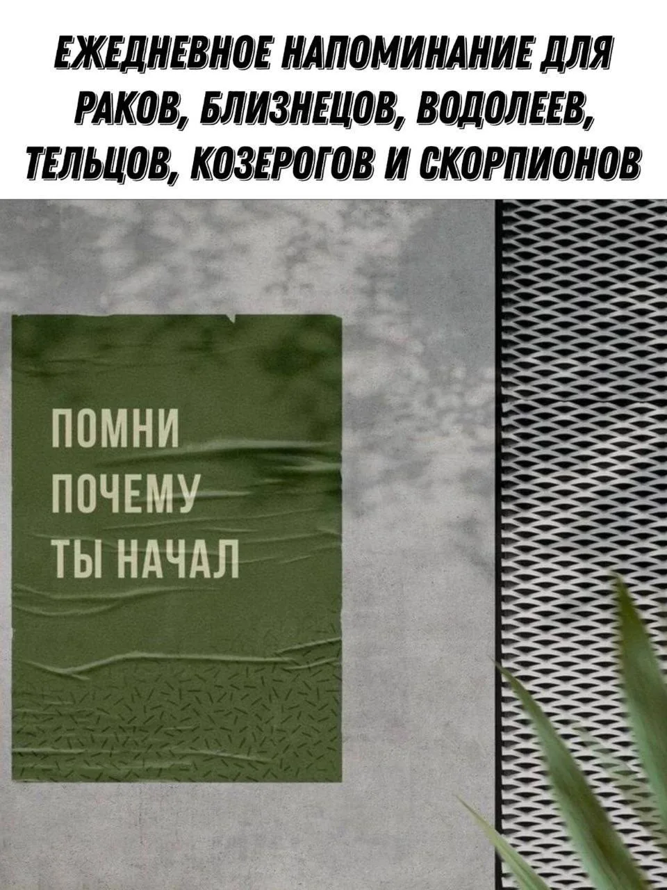 Изображение 1 к публикации «ТВОИ АСТРОЗНАКИ | ГОРОСКОП»