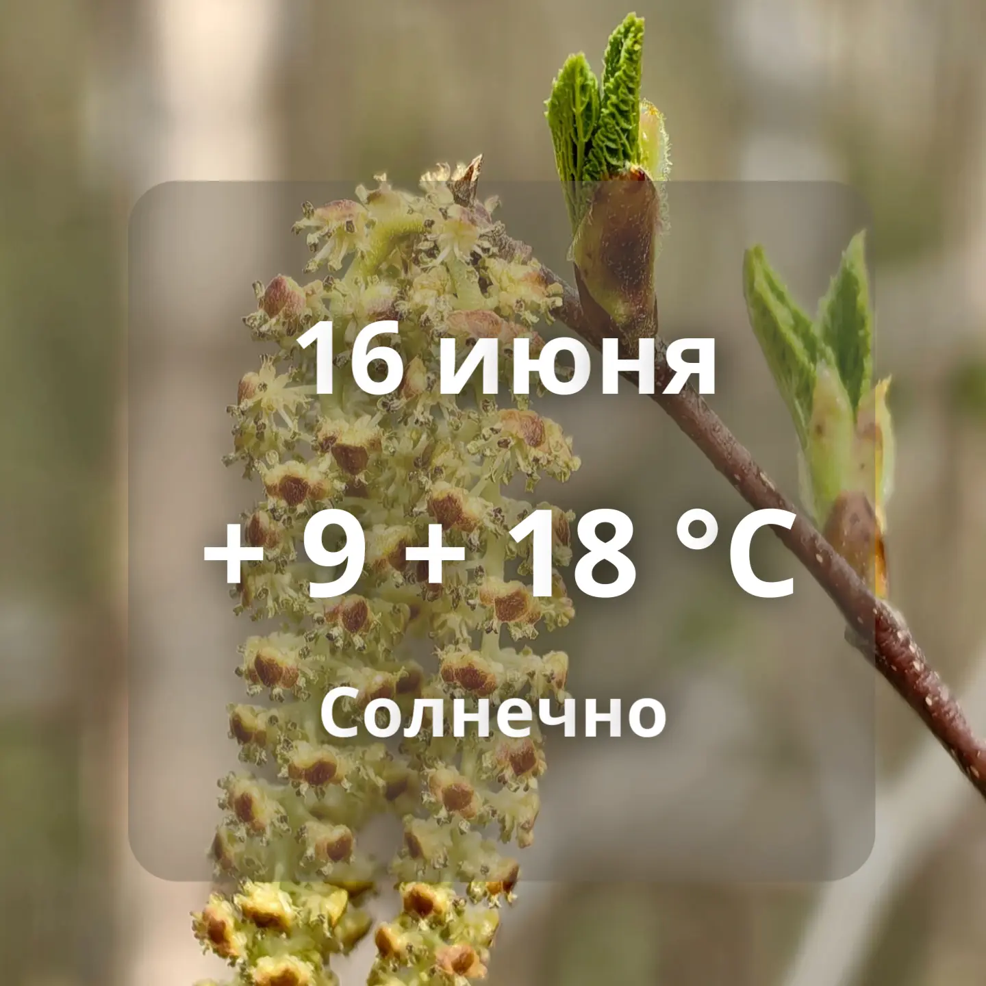 🌤Погода в Аксарке на сегодня