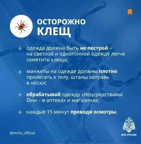 Осторожно, клещ!