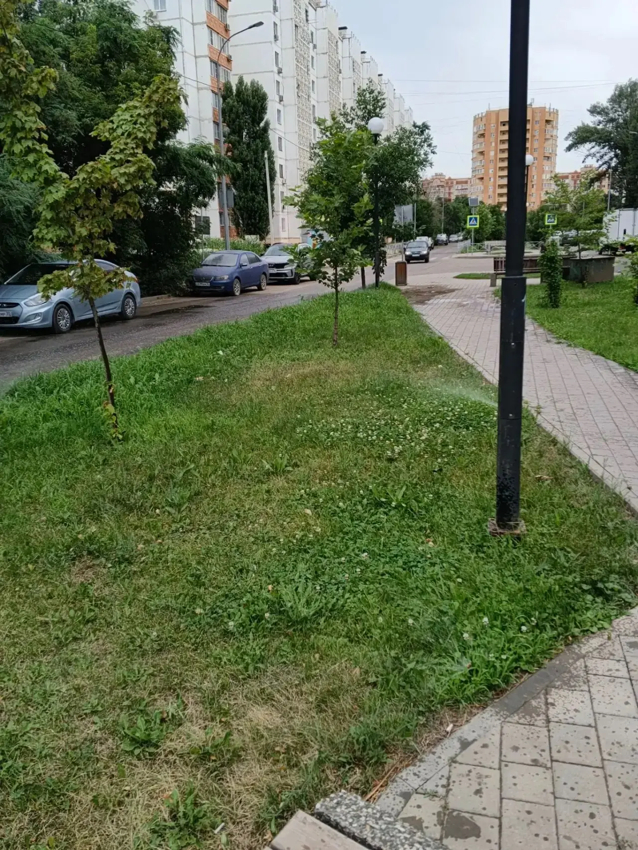 🌿 Особое внимание — разделительным полосам магистральных улиц.