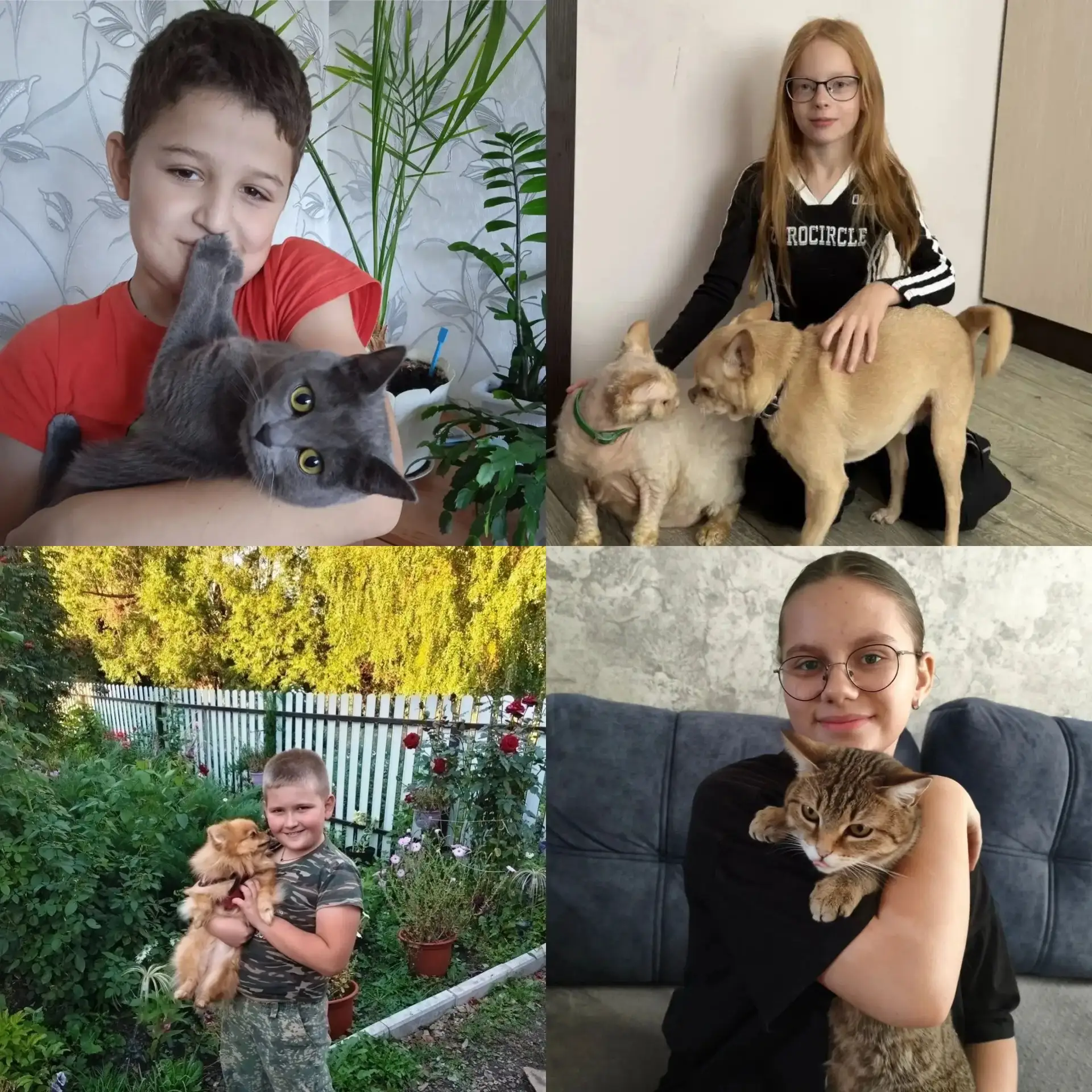 🐾 4 октября — Всемирный день защиты животных!