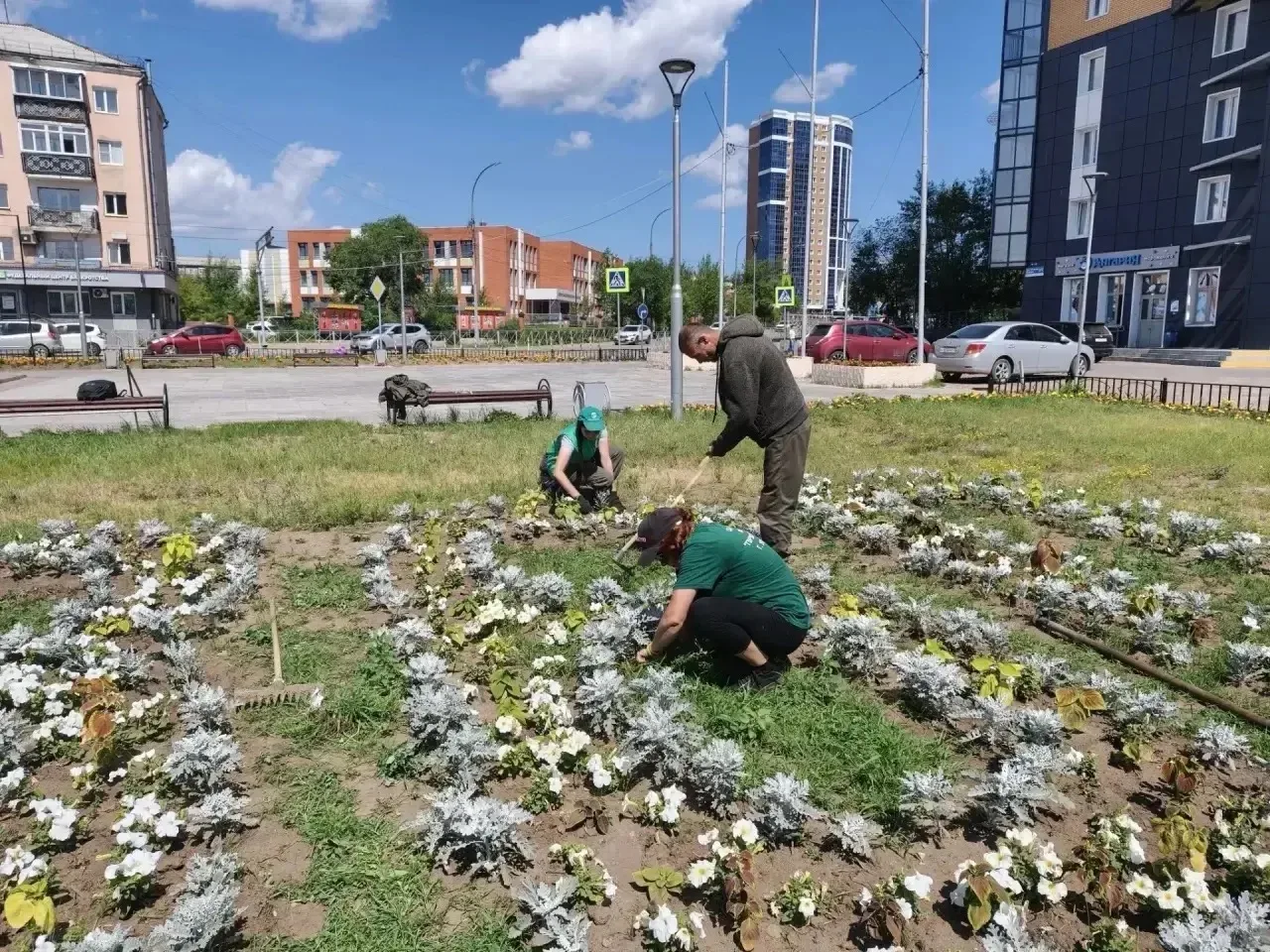 За городскими цветниками в Улан-Удэ ухаживают ежедневно