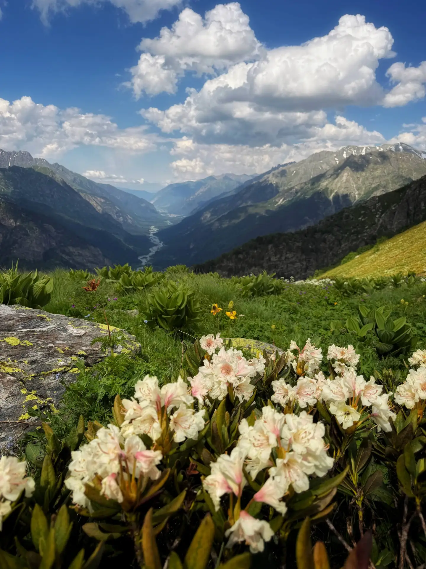 😍 Летние красивые кадры из Домбая, ставьте ❤ если прямо сейчас хотели бы здесь оказаться!