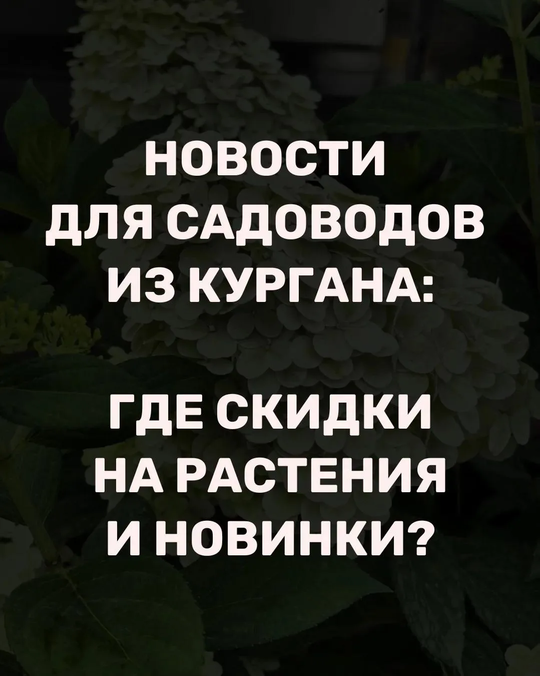 Самый активный канал курганских садоводов теперь переехал в МАКС!