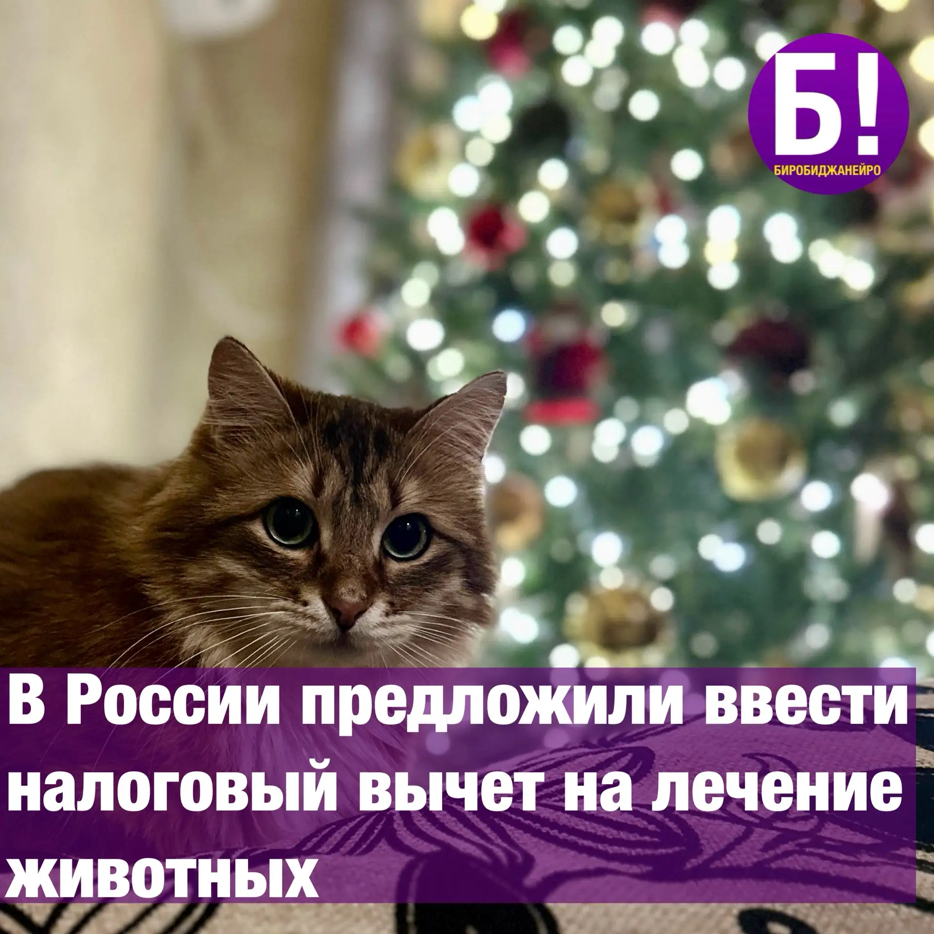 В России предложили ввести налоговый вычет на лечение животных.