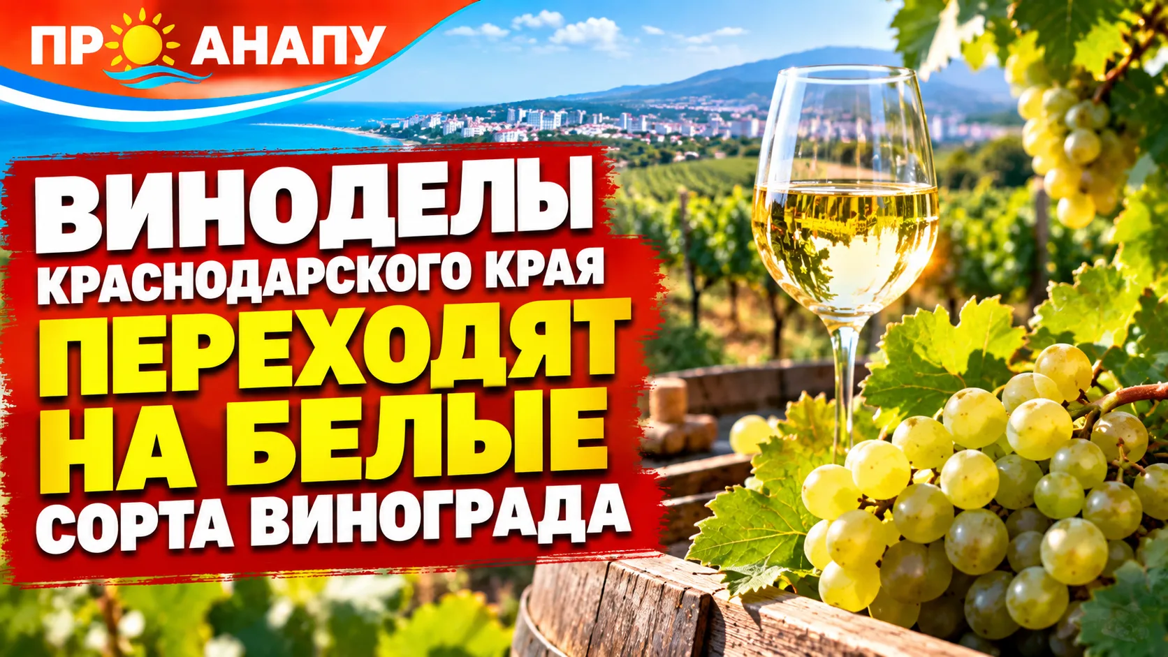 Виноделы Краснодарского края переходят на белые сорта винограда