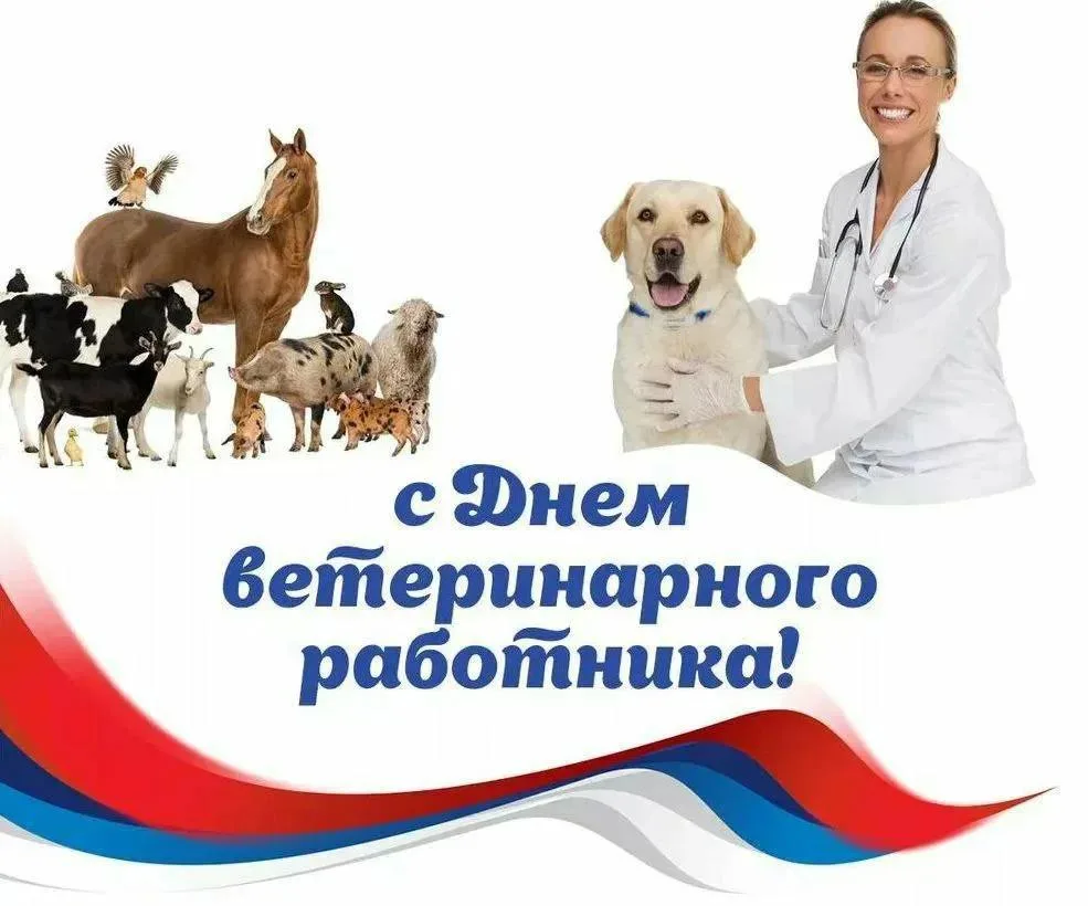 Уважаемые ветераны и работники ветеринарной отрасли!