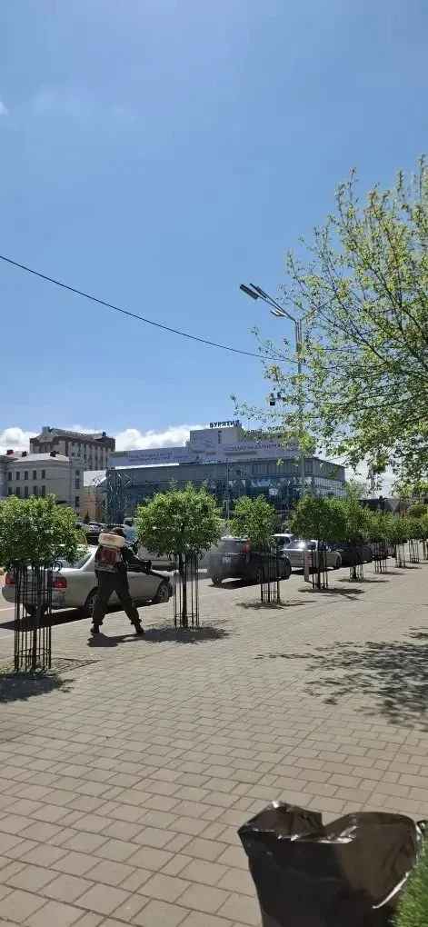 Сохранить деревья здоровыми и устойчивыми к заболеваниям – в Улан-Удэ идет обработка насаждений  🌿 П
