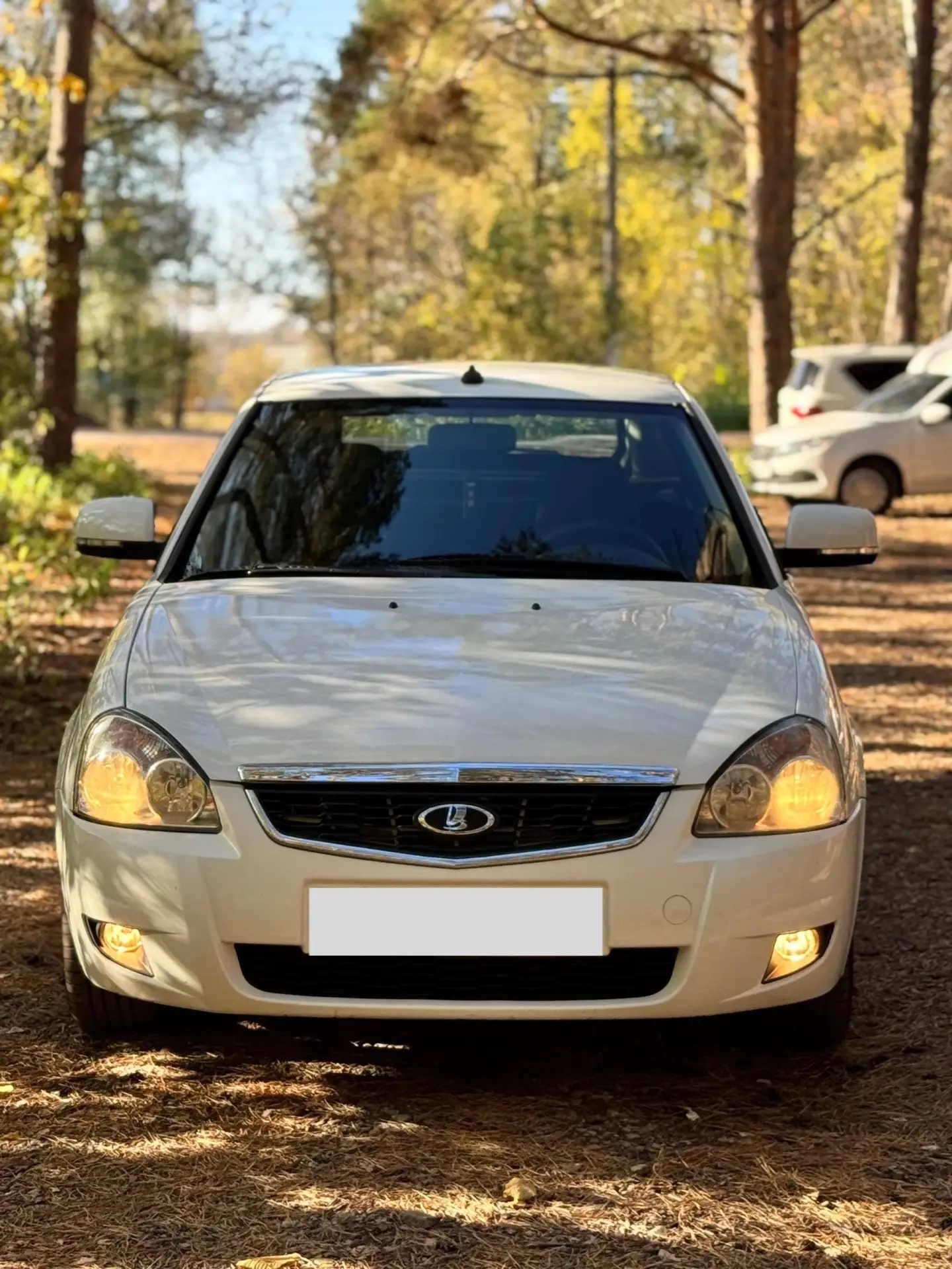 Продам Lada Priora 2012 г.в (переходная)