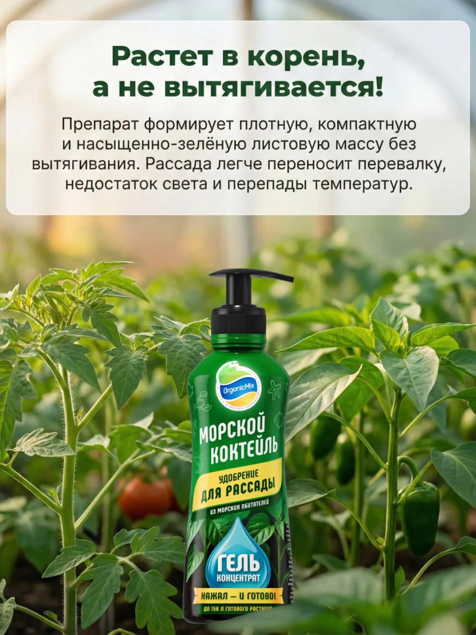 ⚡️ ЭВОЛЮЦИЯ ПОДКОРМОК: РАССАДА БЕЗ ВЫТЯГИВАНИЯ И ГРЯЗНЫХ РУК 🌱  Начинается горячая пора посевов. И м