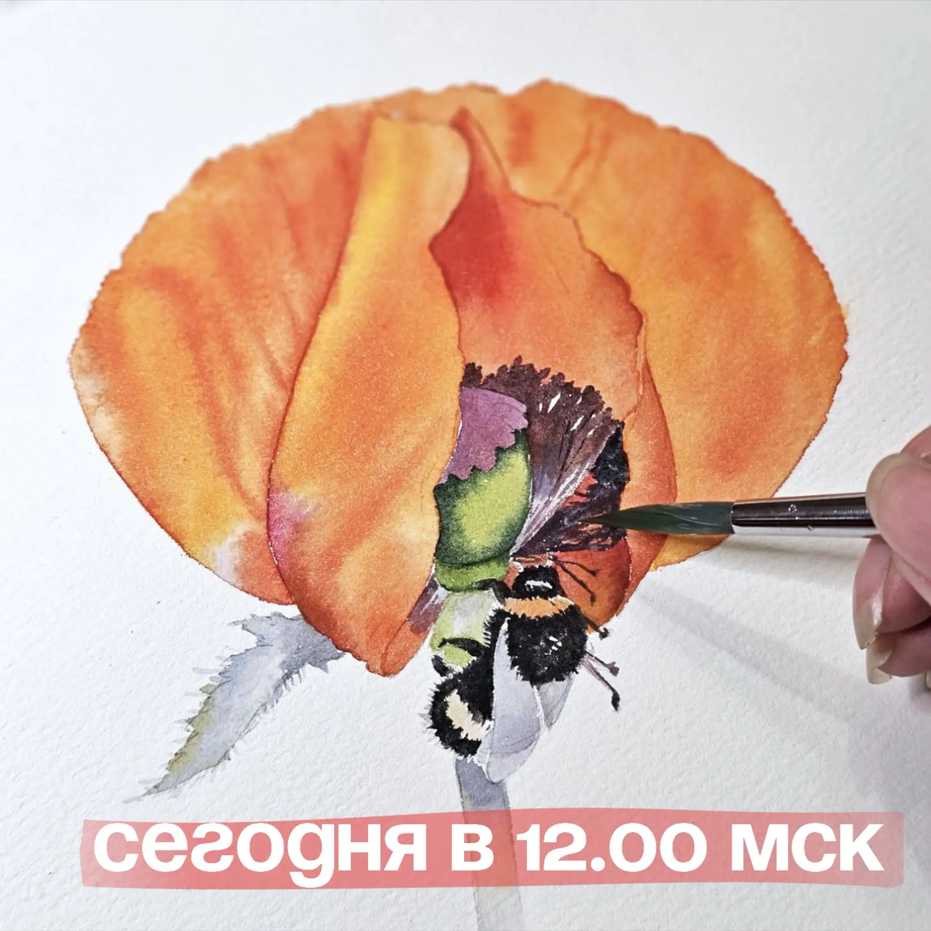 🐝 «Это «ж-ж-ж» - неспроста!» (с)