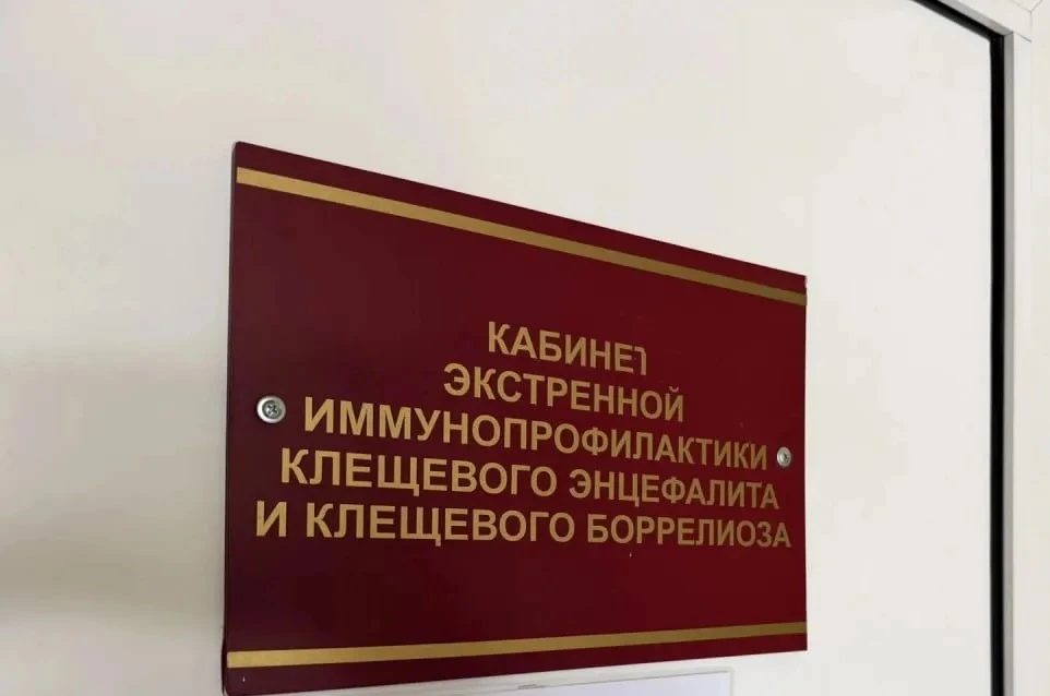 Тюменцам рассказали о профилактике клещевых инфекций