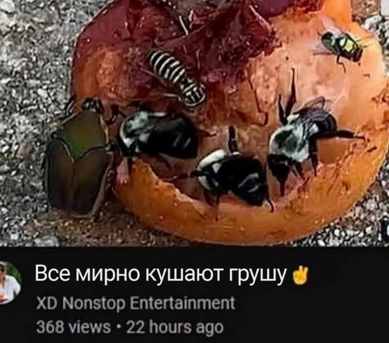 #Биомем