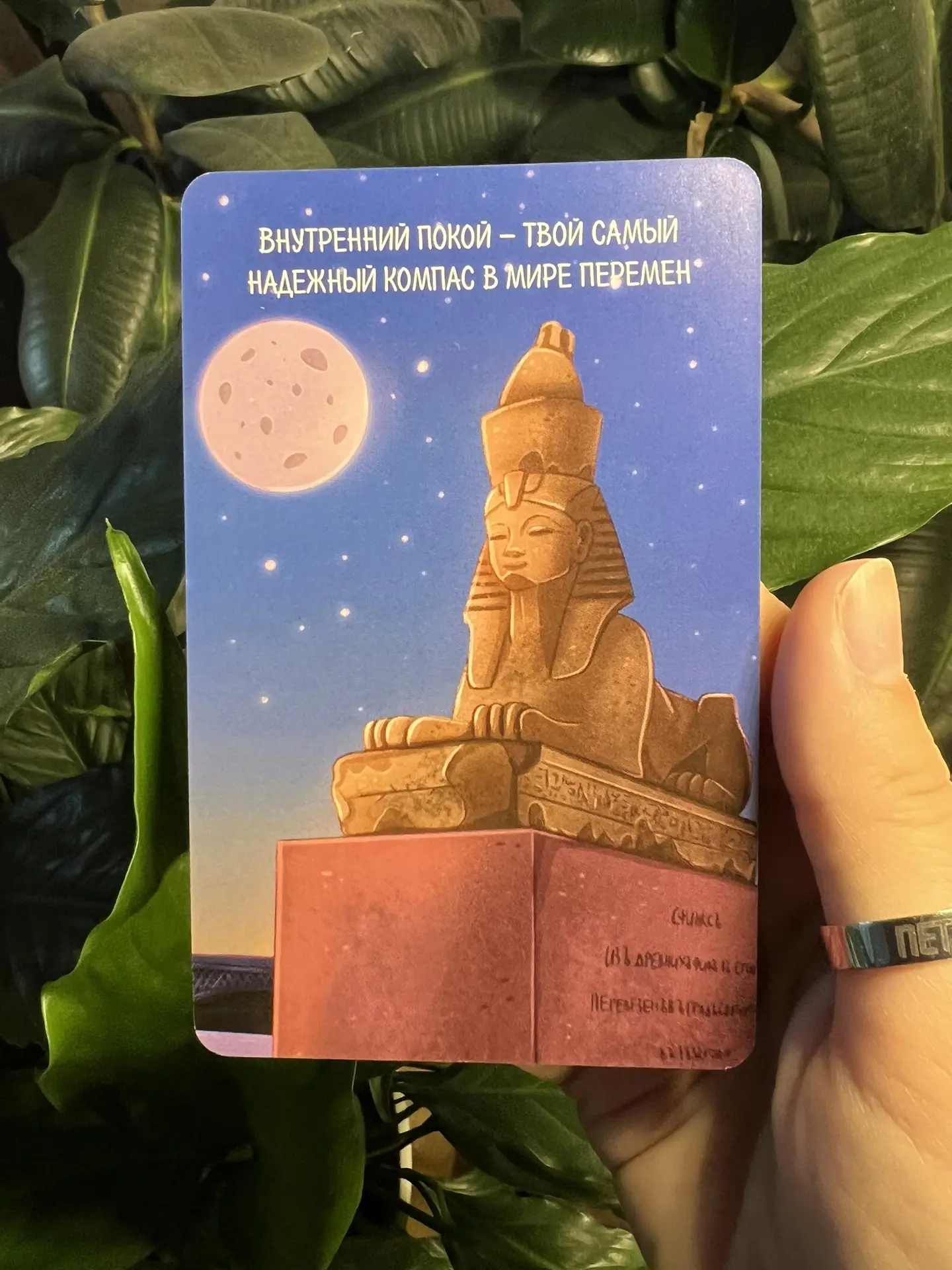 Настраиваемся на неделю.🔥

Ответьте для себя на вопросы: о чём для вас эта карта? Как это послание 