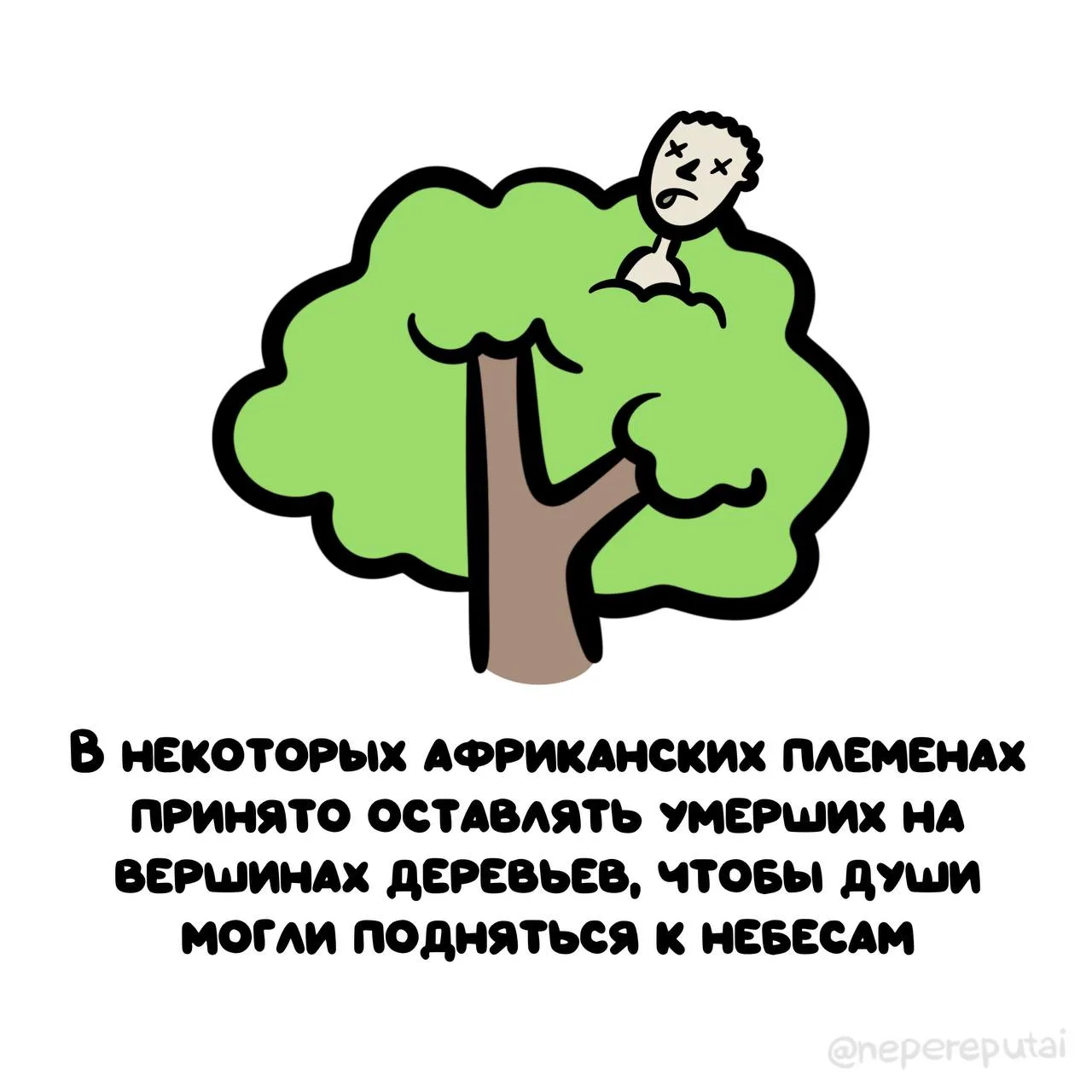 Путь к небесам начинается с ветки дерева.