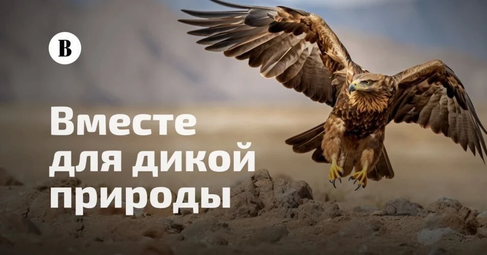 Проект «Вместе для дикой природы» поможет защитить исчезающие виды.

В этом году ведущее деловое изд