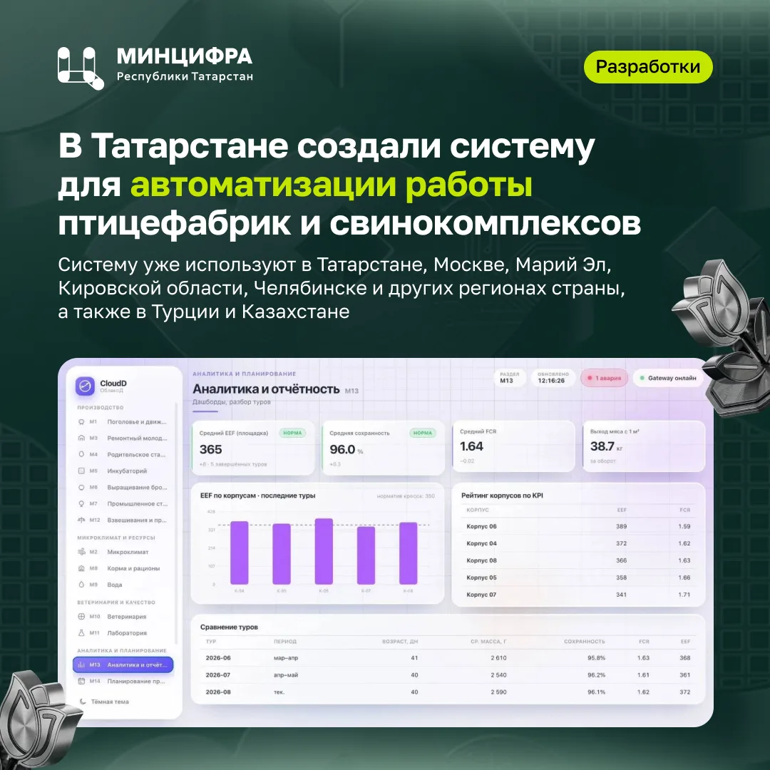 В Татарстане создали систему для автоматизации работы птицефабрик и свинокомплексов