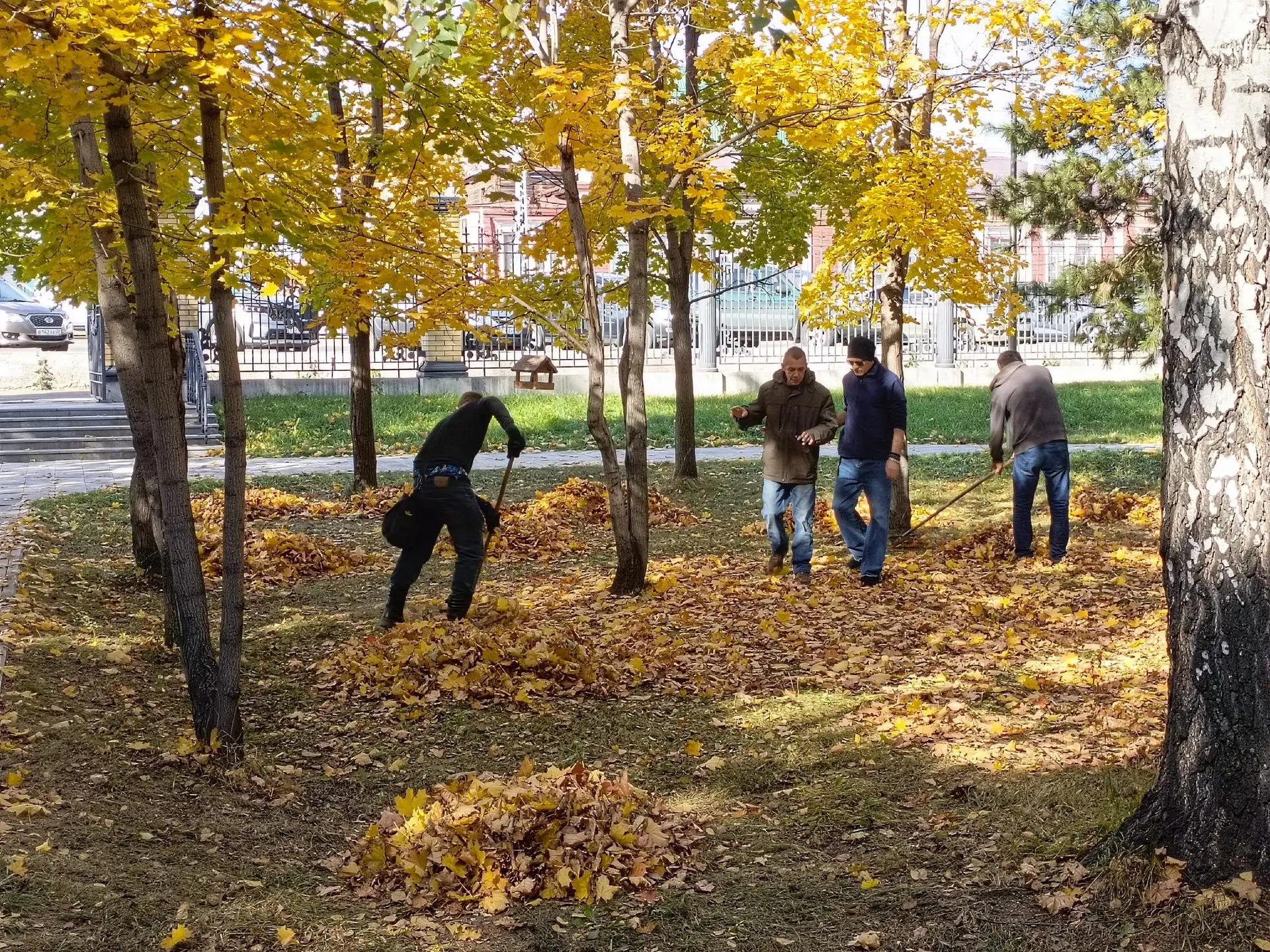 Вот так в Барнауле провели рок-субботник в парке Центральный 🍂