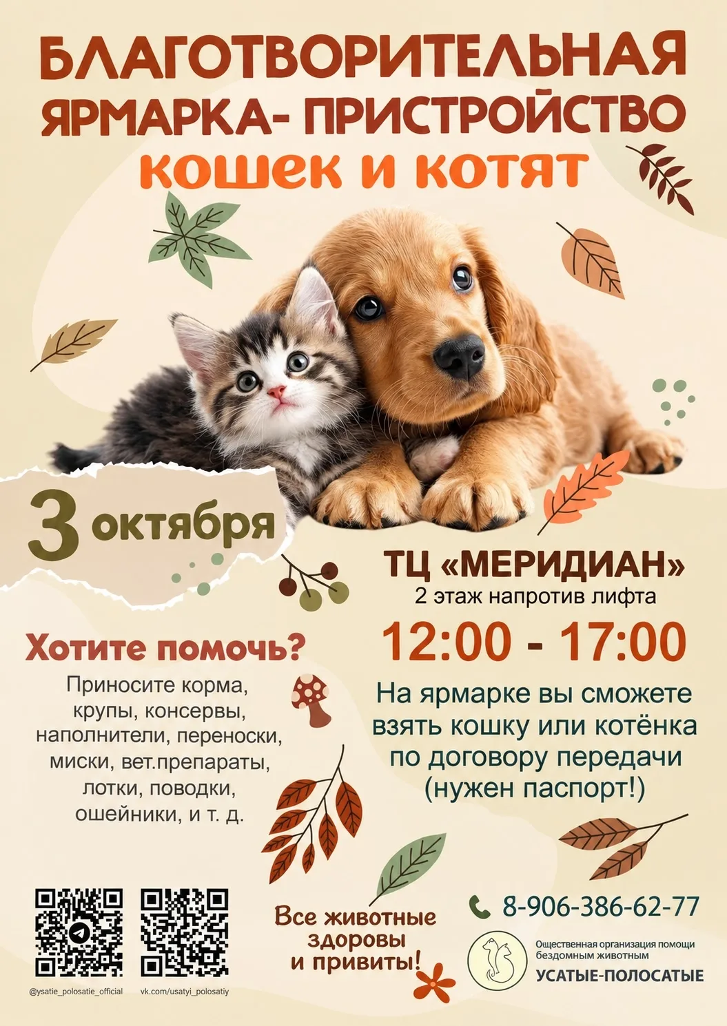 🐾 Бывает, судьба прячется в одной минуте: забегаешь по делам, сворачиваешь за угол — и...