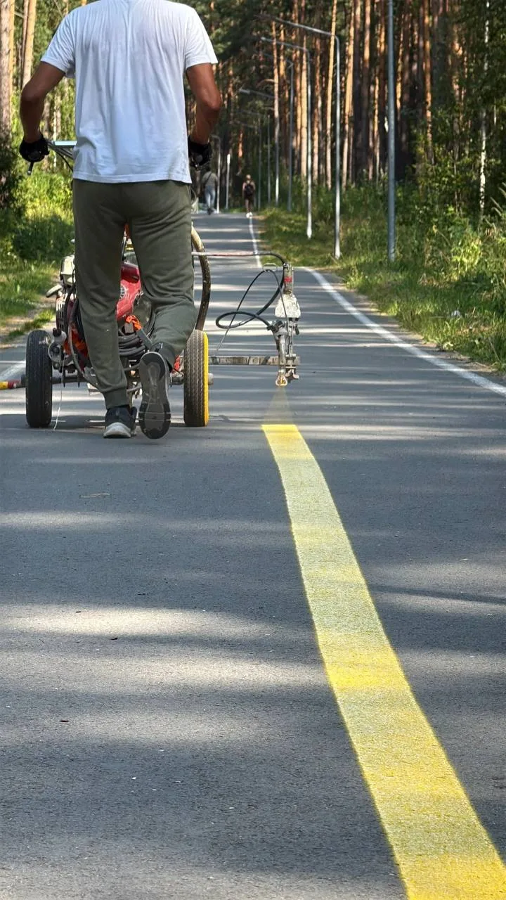 🚲Велодорожки размечают на Тропе здоровья

Пешеходов и велосипедистов просят не наезжать/наступать н