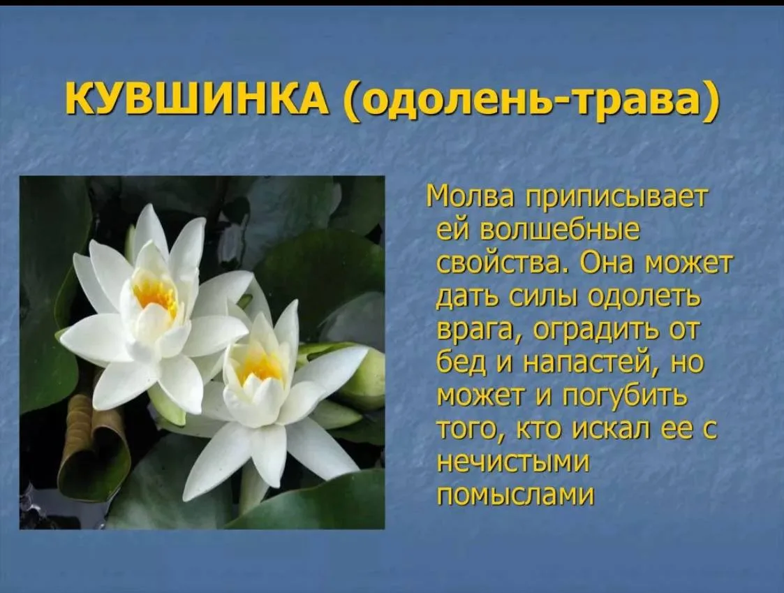 Пожалуй, продублирую дорожный оберег э!