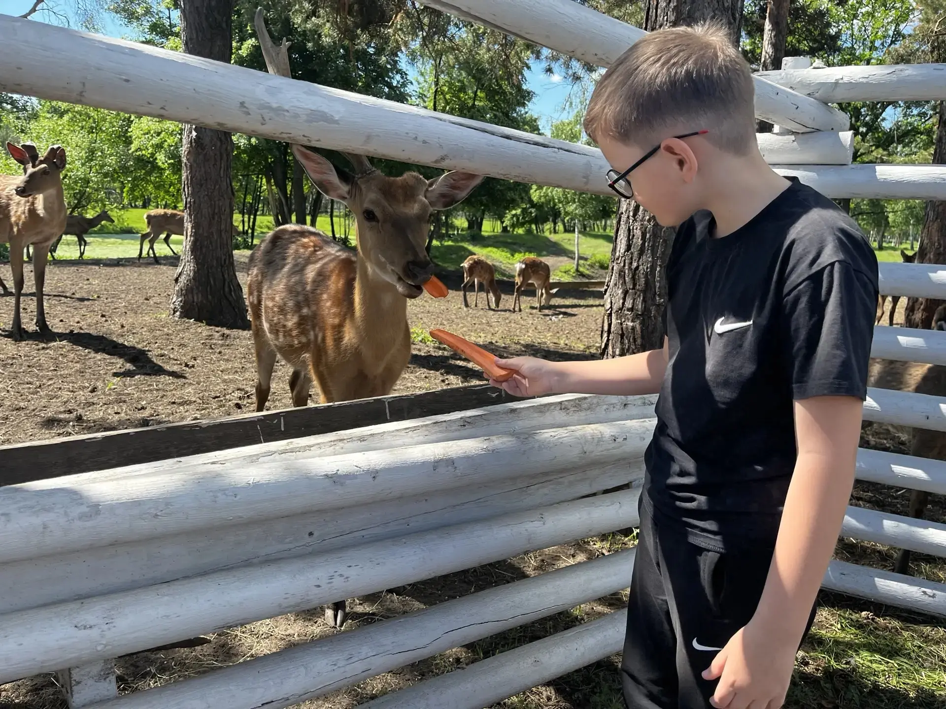 🦌Путешествие 3В класса в сафари‑парк «Кречет»☀️  😊25 мая обучающиеся  3В класса отправились в увлека