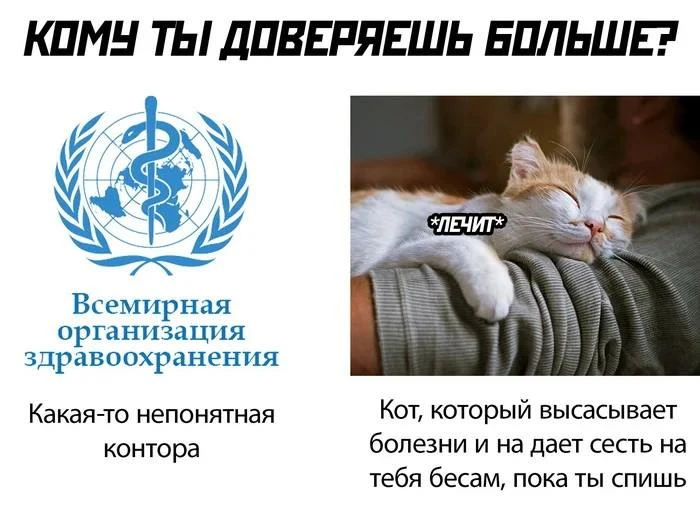 Во Всемирной организации здравоохранения призвали повысить налоги на алкоголь, табак и ...