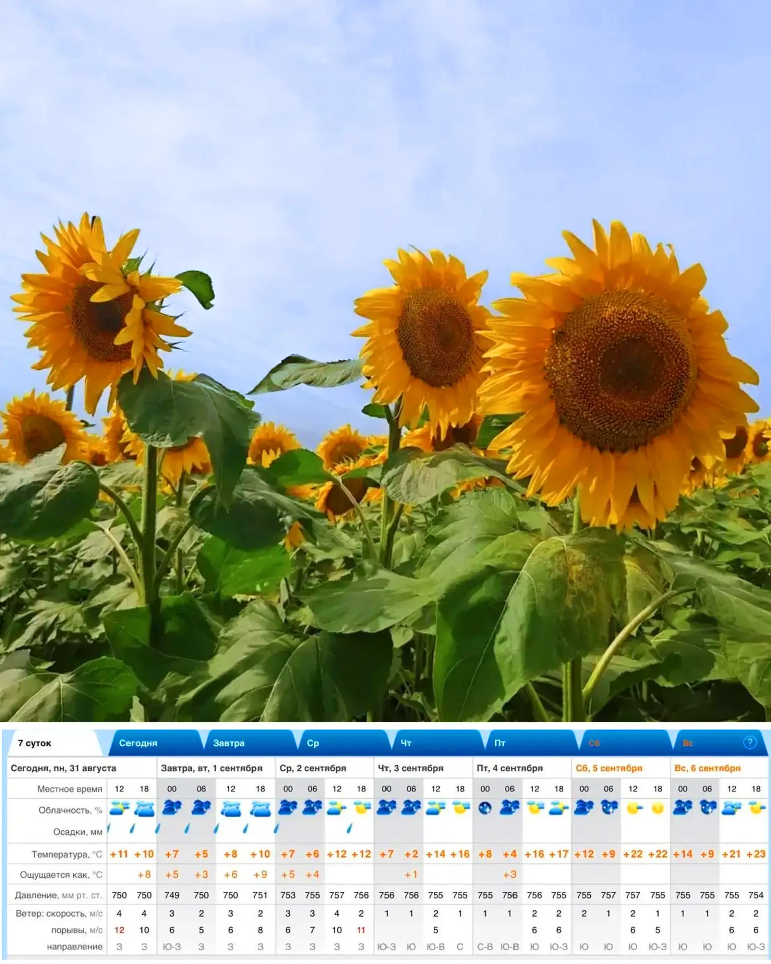🌞Лето ещё не уходит!