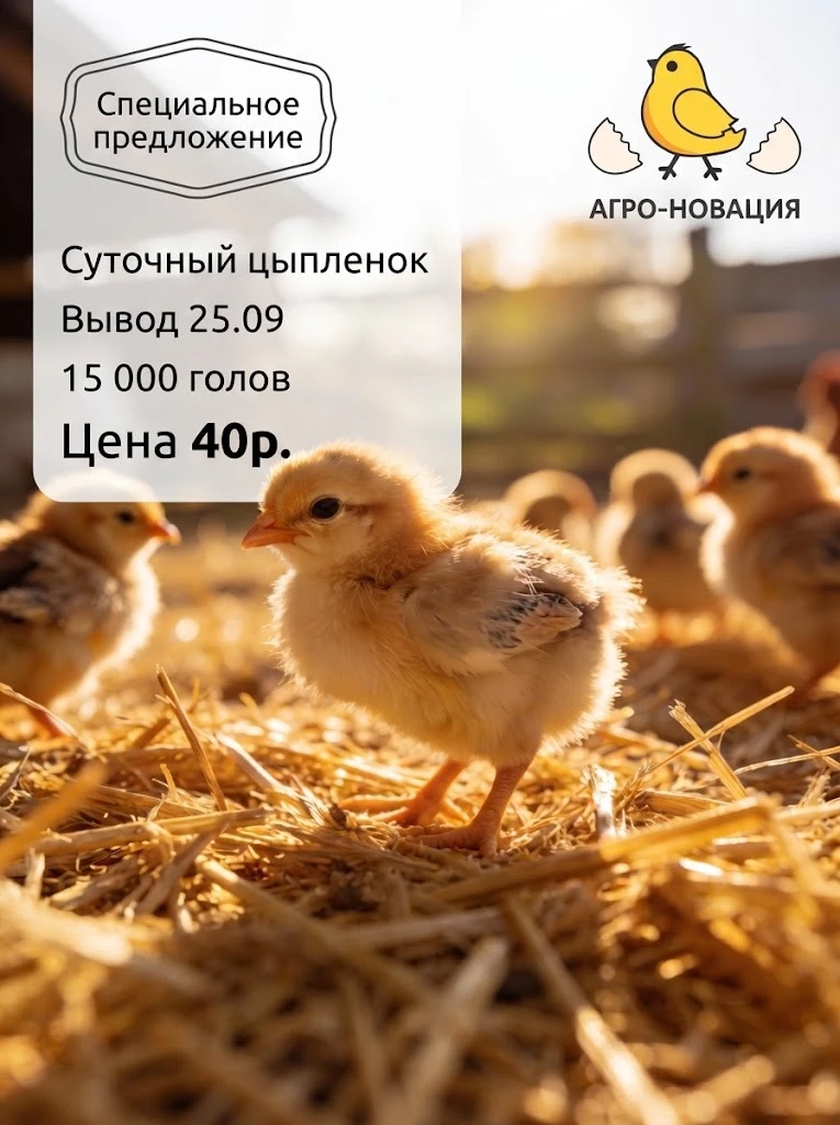 🔥СПЕЦ.ПРЕДЛОЖЕНИЕ!🔥