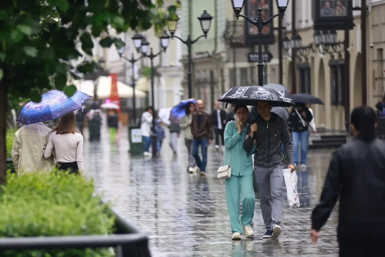 🌧В Казани вновь ожидается дождь

Завтра в городе кратковременные осадки, в отдельных районах грозы,