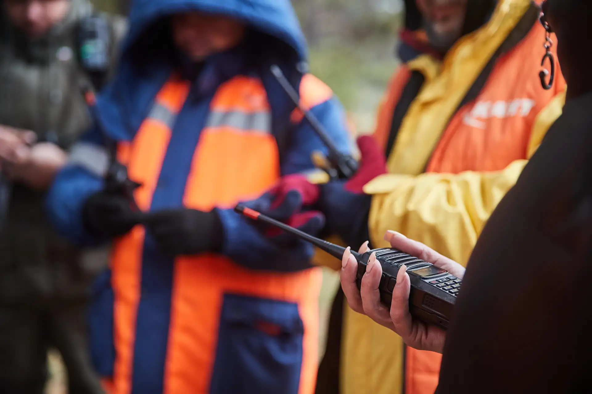 23 человека пропали в Воронежской области за первую неделю сентября
