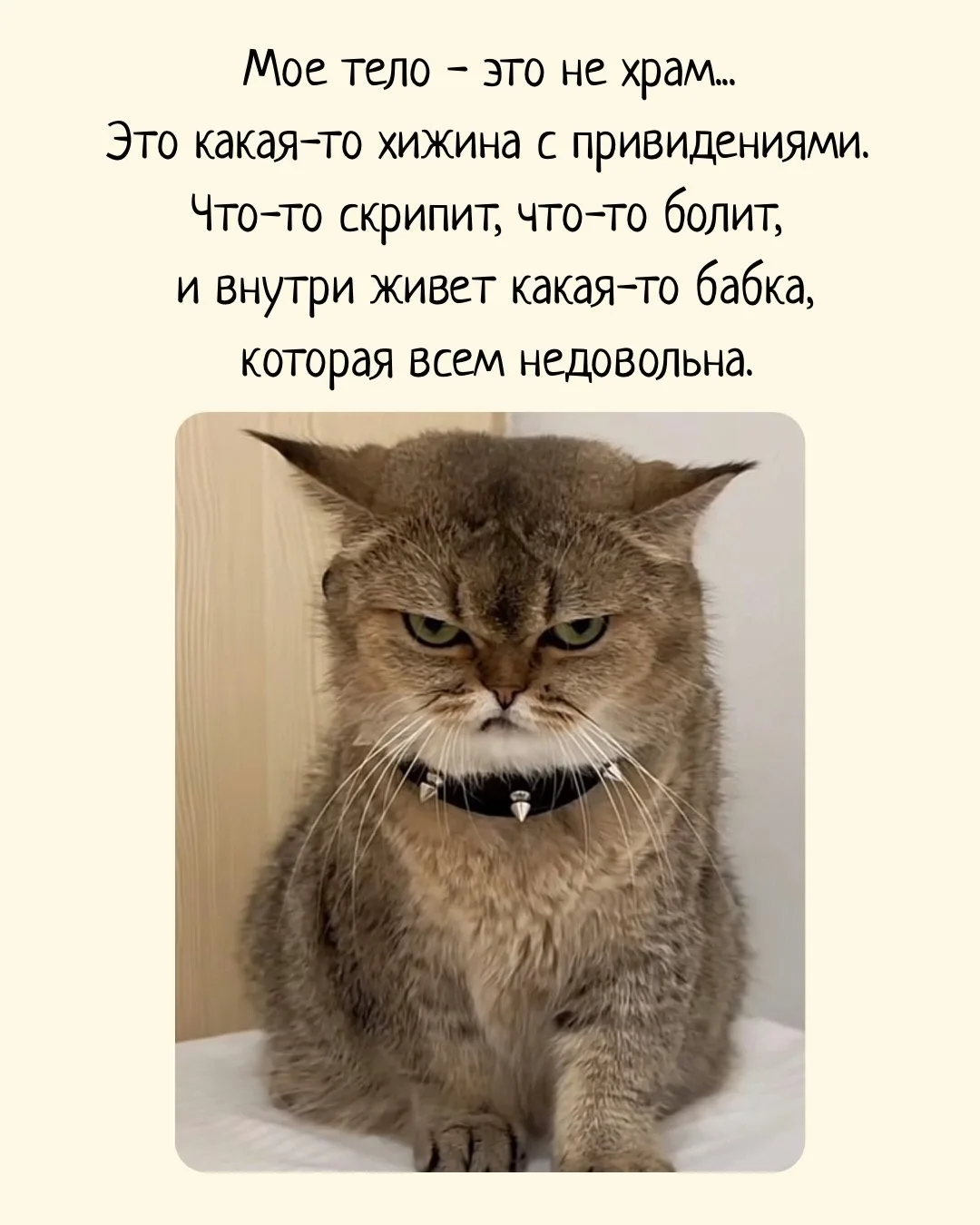 https://max.ru/vitaminofjoy