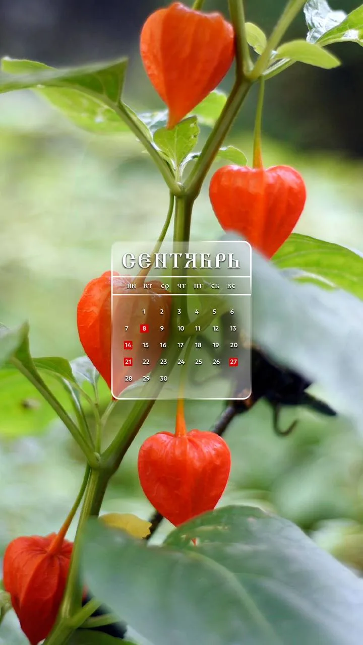 🗓️ Обои-календари на сентябрь!