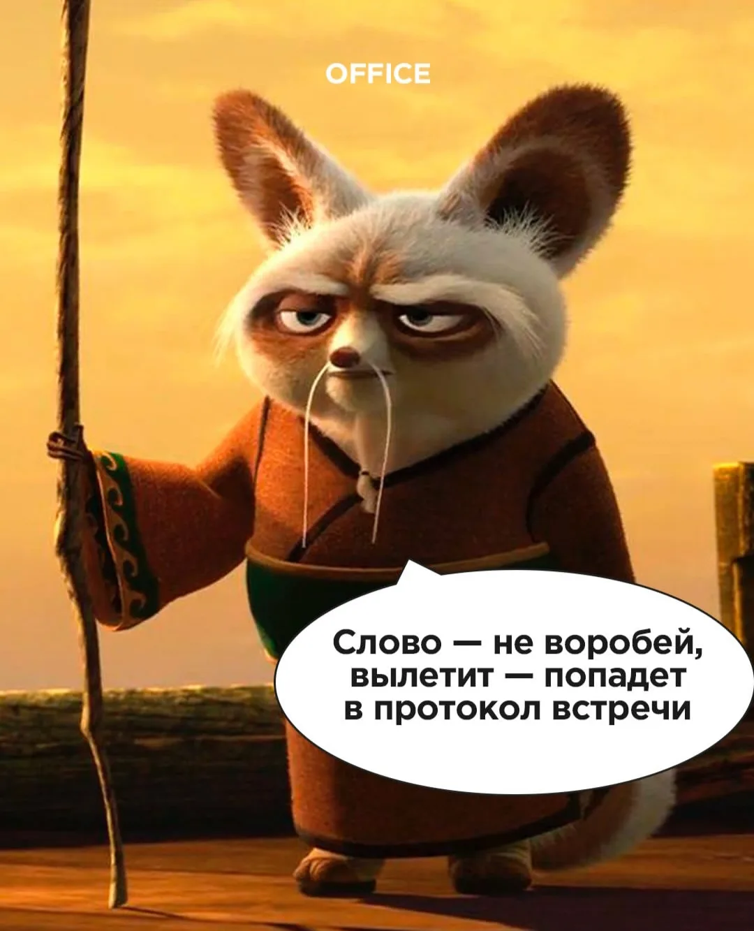 Немного офисной мудрости от мастера Шифу ☝😆