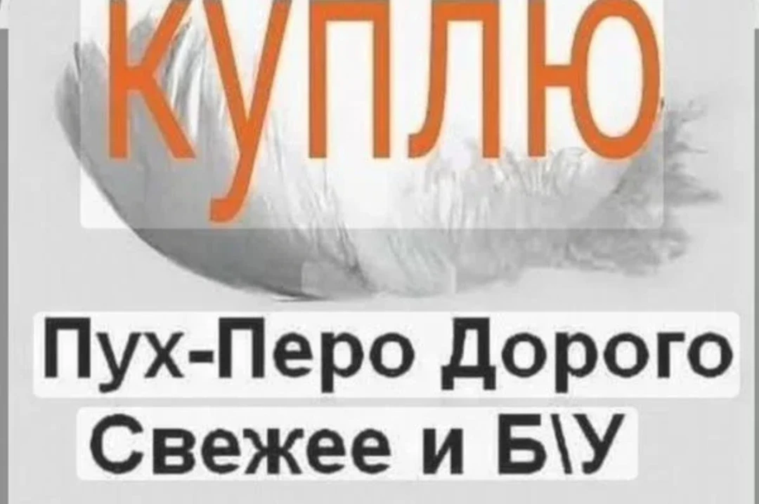 89513302046