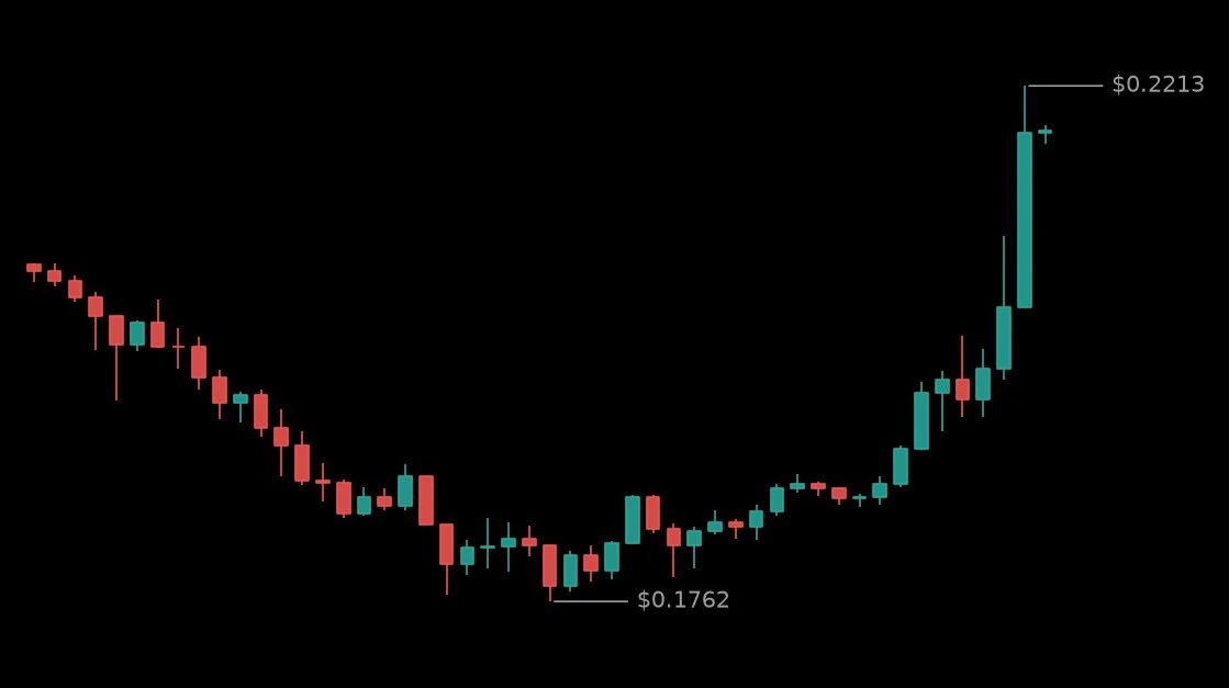 🟢 #RAVEUSDT - 0.2172 (+19.93%)